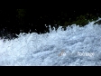 water 5 368